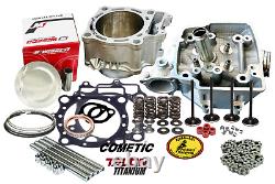 06+ TRX450R Ported Port Head Porting Big Bore Kit 100mm Top End KPMI +1 Valves