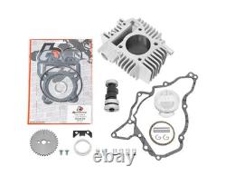 143cc BIG BORE WITH RACE CAMSHAFT KIT KAWASAKI KLX110's 2010-2016