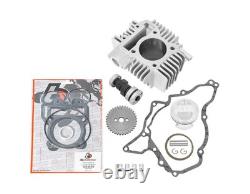 143cc BIG BORE WITH RACE CAMSHAFT KIT KAWASAKI KLX110's Z125 PRO 2017 up