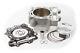 2009 Kawasaki Kx250f Cylinder Works Big Bore Kit 269cc +3mm 13.21 Piston Rings