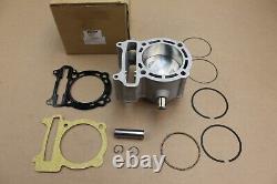 300cc Big Bore Cylinder Kit, Kymco 250 TO 300 78MM PISTON, Arctic Cat 250