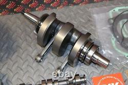 BIG BORE STROKER KIT Polaris RZR 800 cylinder crank cam pistons gaskets 82mm