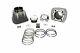 Big Bore 1200cc Cylinder Piston Conversion Kit Silver Wiseco 101 Rings 1986-03