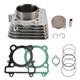 Big Bore 79mm 300cc Cylinder Piston Top End Kit For Yamaha Raptor 250 2008-2013
