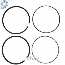 Big Bore Cylinder Piston Rings Top End Kit for Honda Trx400ex 1999-2008 397cc