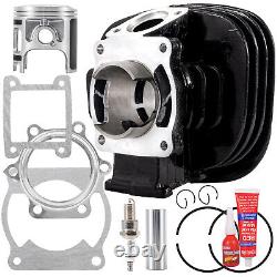 Big Bore For Yamaha Blaster 200 YFS200 Cylinder Crank Bearing Piston Rebuild Kit