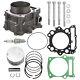 Big Bore Piston Cylinder 102mm Kit For Yamaha Rhino 660 3yf-11310-01 2001-2008