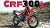 Crf300l Can It Do Everything
