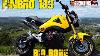 Honda Grom With Finbro 183cc Big Bore Kit First Ride