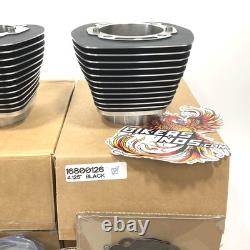 NEW Genuine Harley 4.125 117 Big Bore Twin Cam Jugs / Pistons Kit 16800126