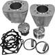 Revolution Performance Bolt-on Big Bore Kit 85 9.01 Silver #rp201-213w