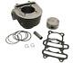 Ssp-g 61mm Big Bore Drop In Cylinder Kit For Gy6 125cc 150cc To 171cc Bigbore