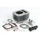 Takegawa S-stage Big Bore Kit 115cc