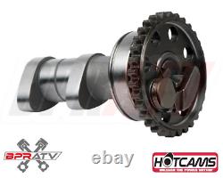 04-06 RMZ250 RMZ 250 Kit de révision complet du moteur avec grand alésage et arbres à cames de phase 2