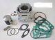 Aprillia Rs 125 Kit Zylinder Rotax 123 Big Arble Tuning Inkl. Nadellager