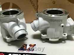 Banshee Athena 66 370 Big Bore Cylindres Pro X Pistons Cool Head Turbo Dome Ngk
