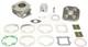 Kit Cylindre Gros Al&eacute;sage Athena 70100 (70cc &agrave; Monter Directement) Al&eacute;sage 47,66 Mm