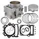 Kit Cylindre Piston De Gros Alésage 734 Cc Pour Yamaha Grizzly 700 1s3-11351-00 111