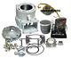 Kit De Gros Alésage Trx250r Sabertooth Cp Industries Cylinder Porté 95mm 496cc Top End