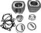 Kit De Gros Cylindrée Revolution Performance Monster (117 Po.) 4.125 Rp201-171wg
