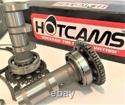 Kit de grosse cylindrée de 100 mm LTR450 LTR 450, Kit de reconstruction de l'extrémité supérieure Hotcams 493cc Hot Cams
