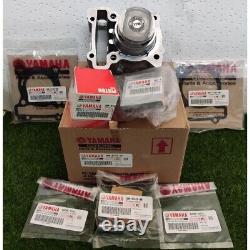 Yamaha NMAX 125 MBK Ocito Big Bore 155cc Kit Cylindre Nmax 155 Nouveau Authentique